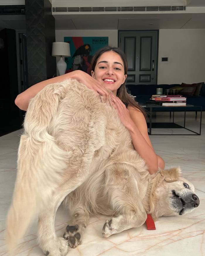 ananya panday_teluguvox 2